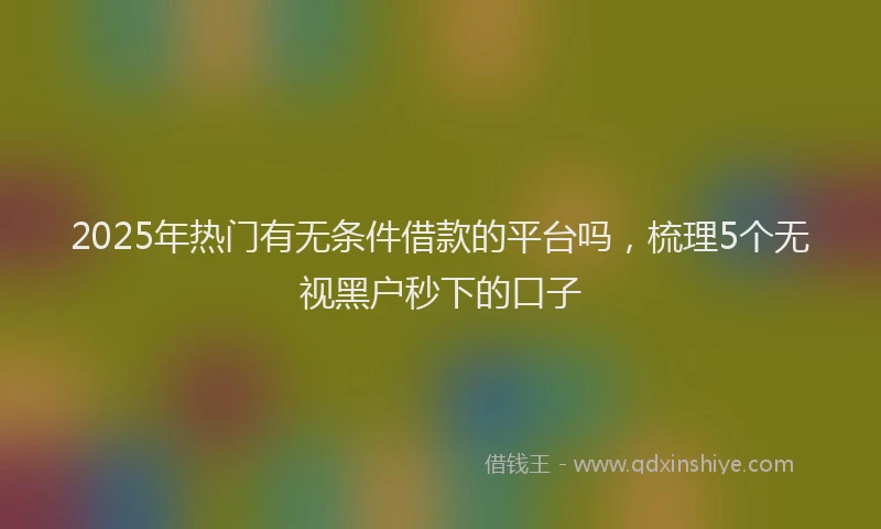 2025年热门有无条件借款的平台吗，梳理5个无视黑户秒下的口子