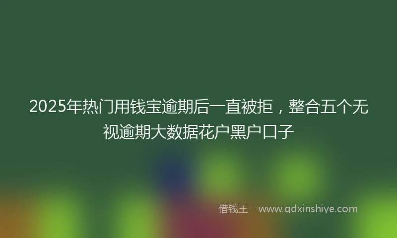 2025年热门用钱宝逾期后一直被拒，整合五个无视逾期大数据花户黑户口子