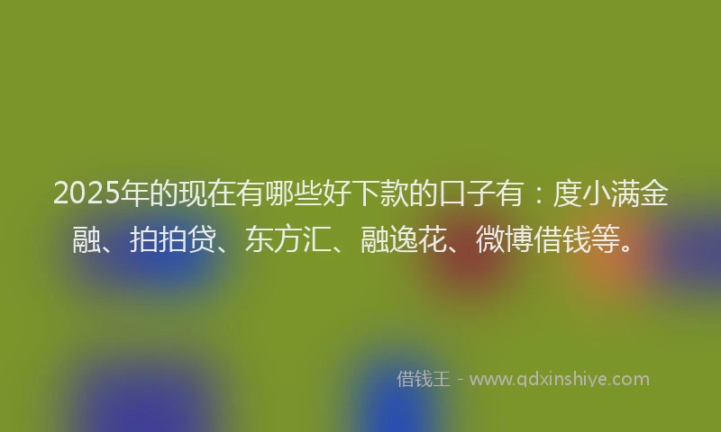 2025年的现在有哪些好下款的口子有：度小满金融、拍拍贷、东方汇、融逸花、微博借钱等。