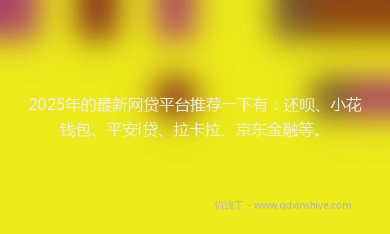 2025年的最新网贷平台推荐一下有：还呗、小花钱包、平安i贷、拉卡拉、京东金融等。