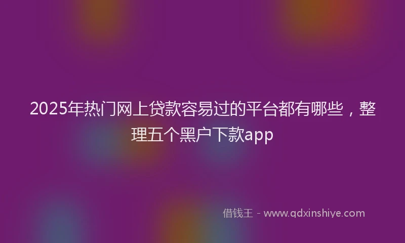 2025年热门网上贷款容易过的平台都有哪些，整理五个黑户下款app