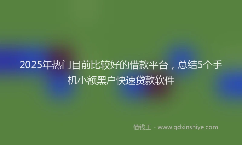 2025年热门目前比较好的借款平台，总结5个手机小额黑户快速贷款软件