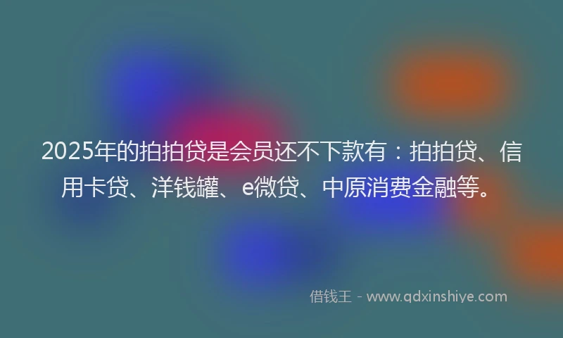 2025年的拍拍贷是会员还不下款有：拍拍贷、信用卡贷、洋钱罐、e微贷、中原消费金融等。