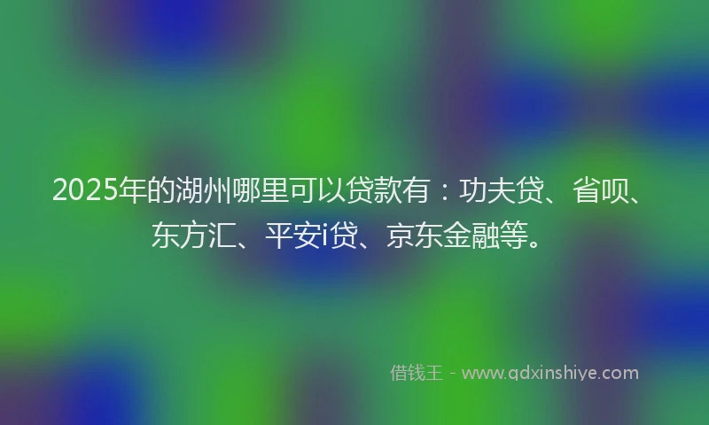 2025年的湖州哪里可以贷款有：功夫贷、省呗、东方汇、平安i贷、京东金融等。