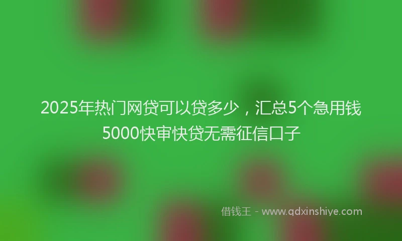 2025年热门网贷可以贷多少，汇总5个急用钱5000快审快贷无需征信口子
