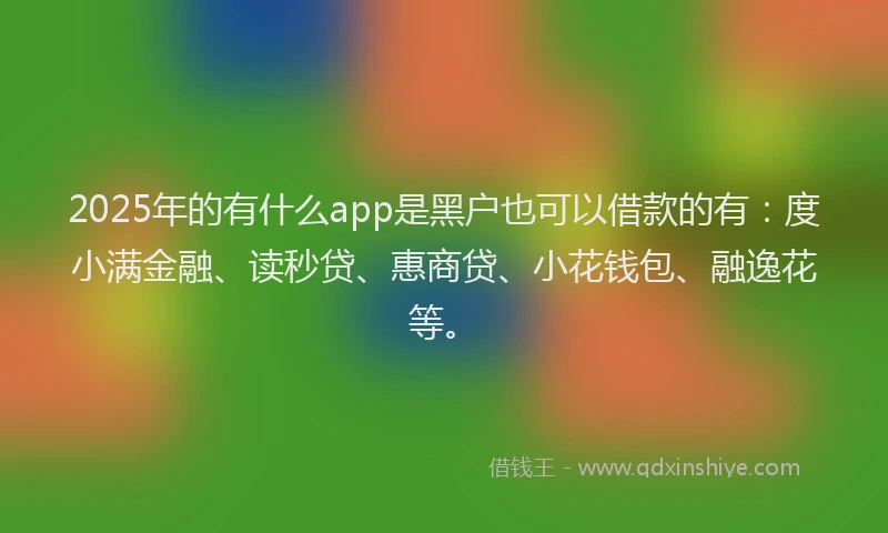 2025年的有什么app是黑户也可以借款的有：度小满金融、读秒贷、惠商贷、小花钱包、融逸花等。