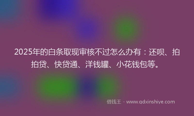 2025年的白条取现审核不过怎么办有：还呗、拍拍贷、快贷通、洋钱罐、小花钱包等。