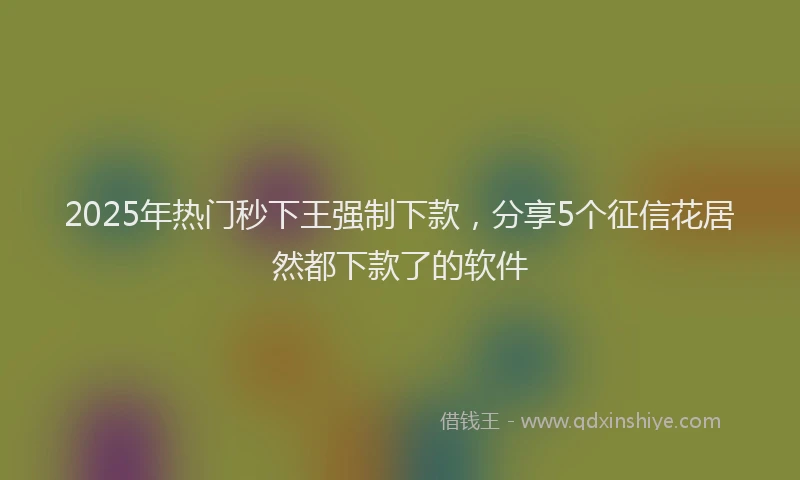 2025年热门秒下王强制下款，分享5个征信花居然都下款了的软件
