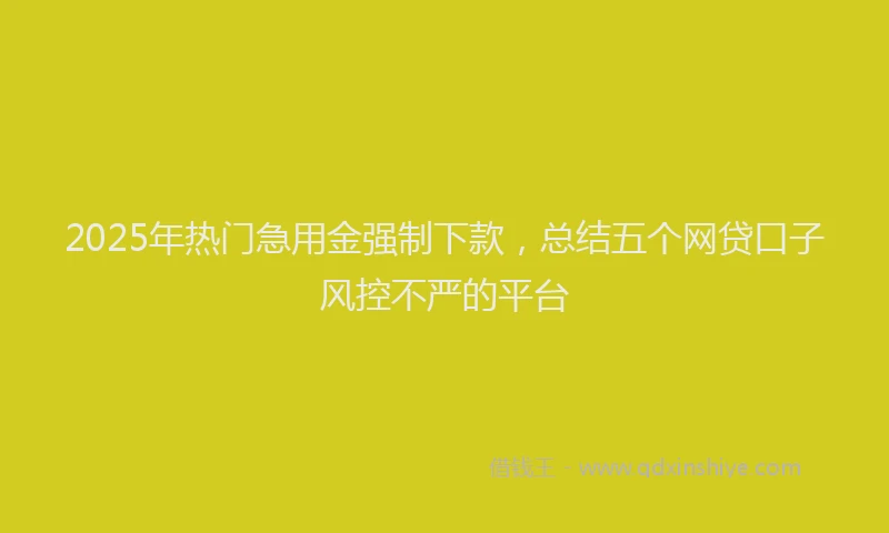 2025年热门急用金强制下款，总结五个网贷口子风控不严的平台