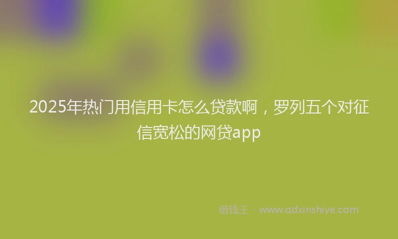 2025年热门用信用卡怎么贷款啊，罗列五个对征信宽松的网贷app