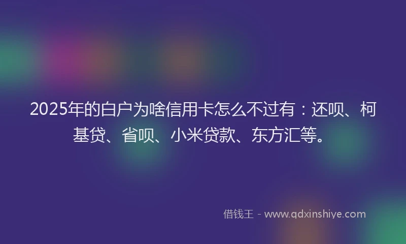 2025年的白户为啥信用卡怎么不过有：还呗、柯基贷、省呗、小米贷款、东方汇等。