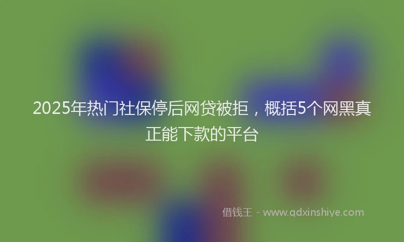 2025年热门社保停后网贷被拒，概括5个网黑真正能下款的平台