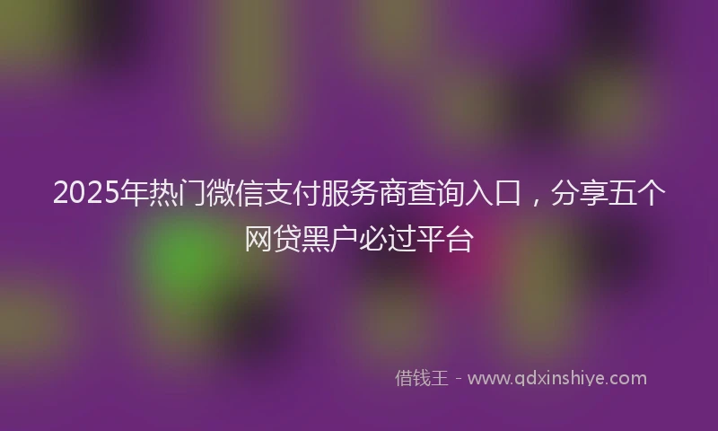 2025年热门微信支付服务商查询入口，分享五个网贷黑户必过平台