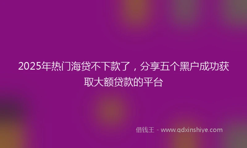 2025年热门海贷不下款了，分享五个黑户成功获取大额贷款的平台