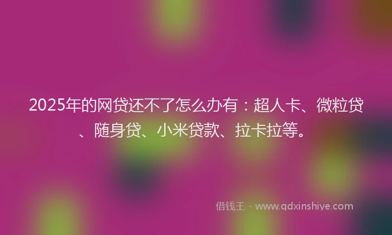 2025年的网贷还不了怎么办有：超人卡、微粒贷、随身贷、小米贷款、拉卡拉等。