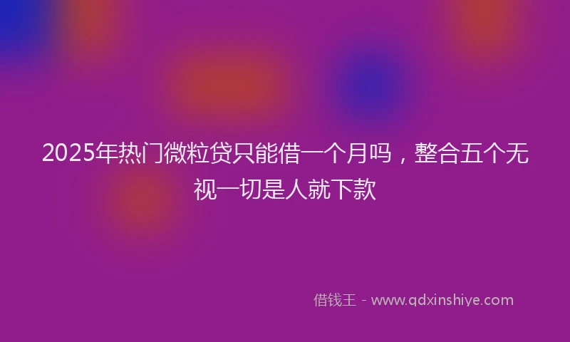 2025年热门微粒贷只能借一个月吗，整合五个无视一切是人就下款
