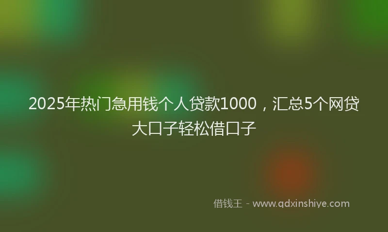 2025年热门急用钱个人贷款1000，汇总5个网贷大口子轻松借口子