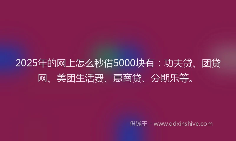2025年的网上怎么秒借5000块有：功夫贷、团贷网、美团生活费、惠商贷、分期乐等。