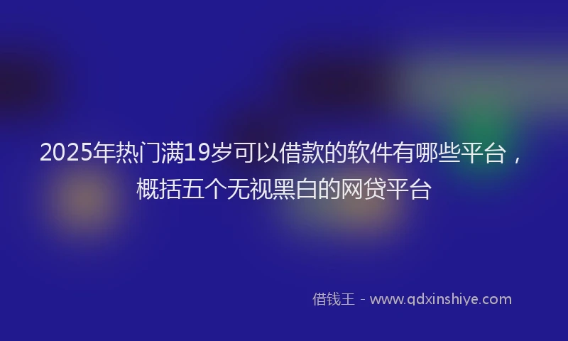 2025年热门满19岁可以借款的软件有哪些平台，概括五个无视黑白的网贷平台
