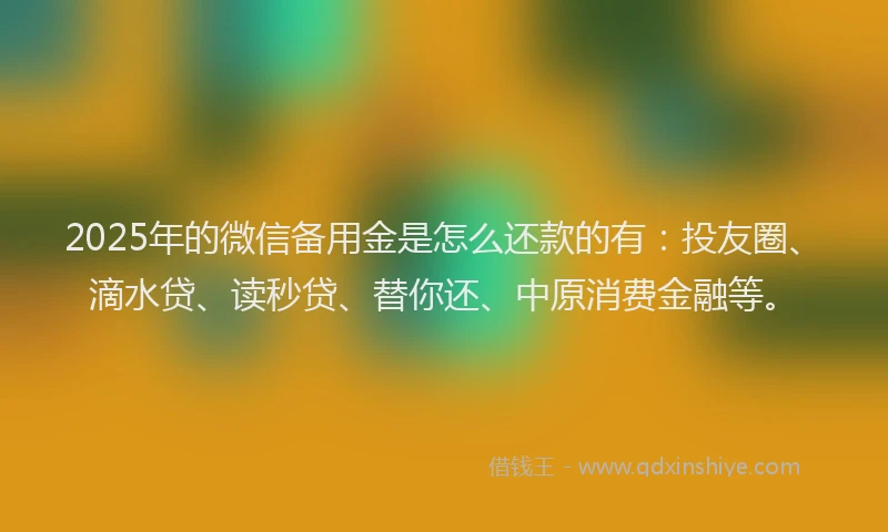 2025年的微信备用金是怎么还款的有：投友圈、滴水贷、读秒贷、替你还、中原消费金融等。