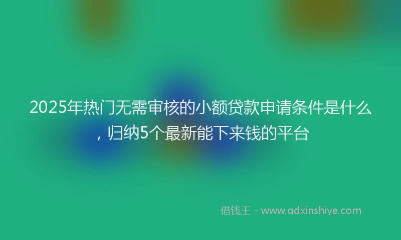 2025年热门无需审核的小额贷款申请条件是什么，归纳5个最新能下来钱的平台