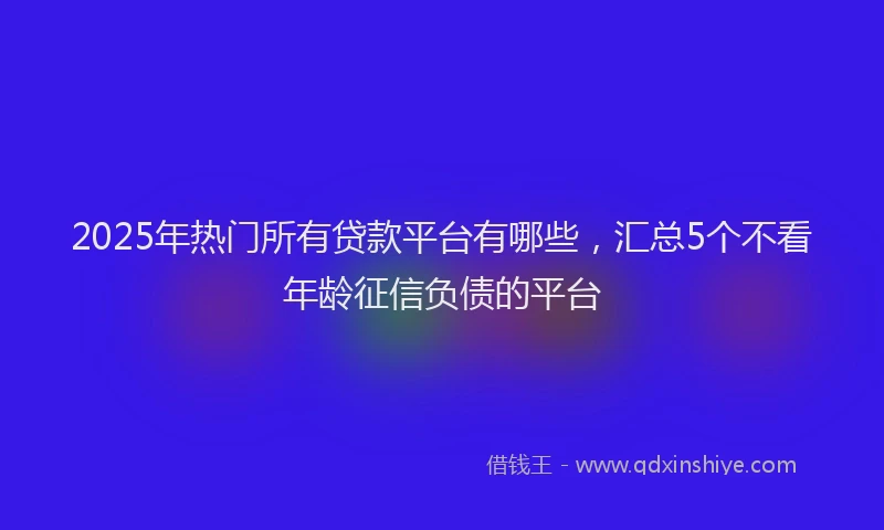2025年热门所有贷款平台有哪些，汇总5个不看年龄征信负债的平台