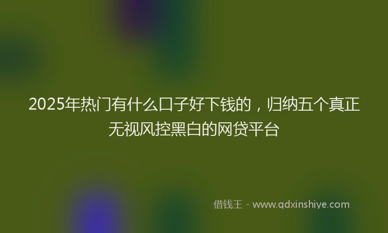 2025年热门有什么口子好下钱的，归纳五个真正无视风控黑白的网贷平台