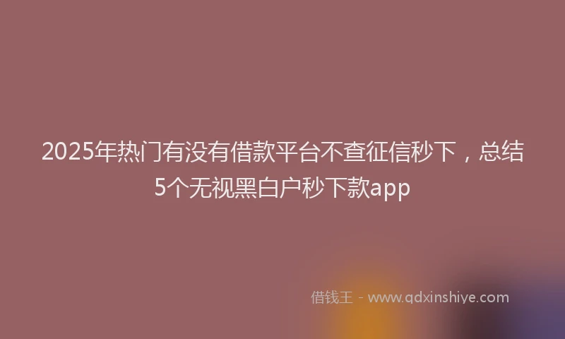 2025年热门有没有借款平台不查征信秒下，总结5个无视黑白户秒下款app