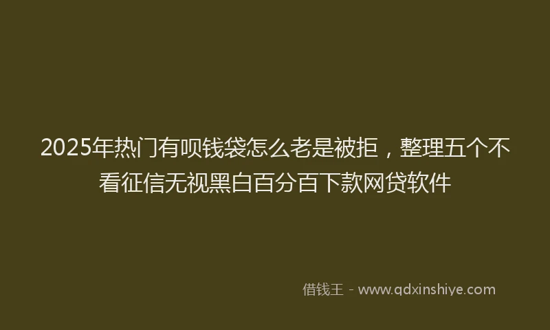 2025年热门有呗钱袋怎么老是被拒，整理五个不看征信无视黑白百分百下款网贷软件