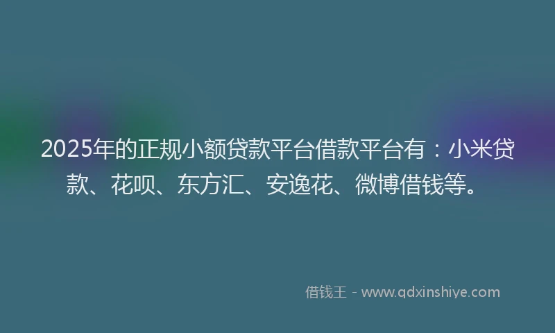2025年的正规小额贷款平台借款平台有：小米贷款、花呗、东方汇、安逸花、微博借钱等。