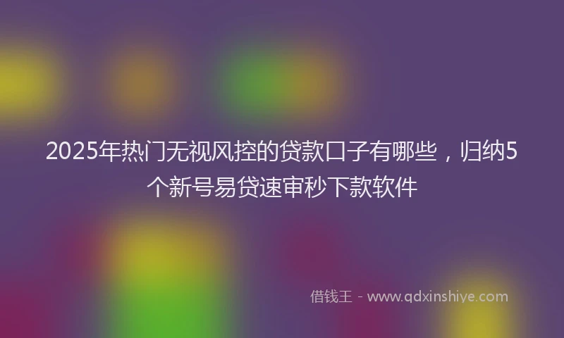 2025年热门无视风控的贷款口子有哪些，归纳5个新号易贷速审秒下款软件