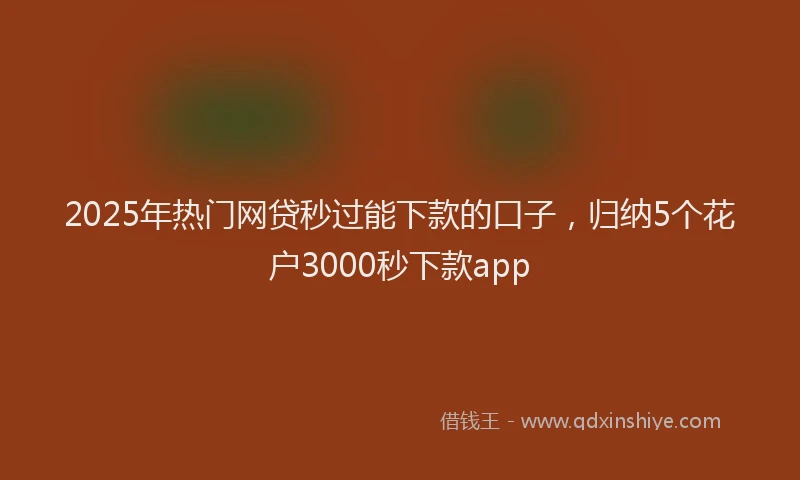 2025年热门网贷秒过能下款的口子，归纳5个花户3000秒下款app