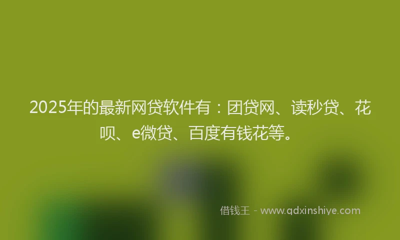 2025年的最新网贷软件有：团贷网、读秒贷、花呗、e微贷、百度有钱花等。