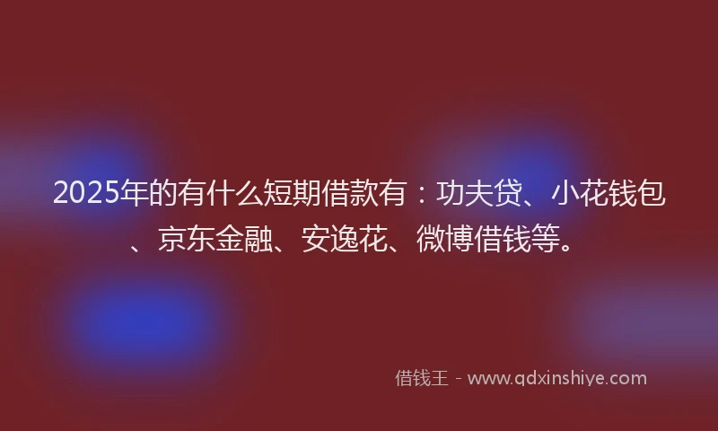 2025年的有什么短期借款有：功夫贷、小花钱包、京东金融、安逸花、微博借钱等。