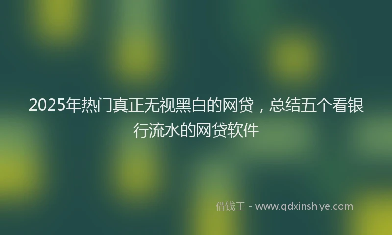 2025年热门真正无视黑白的网贷，总结五个看银行流水的网贷软件