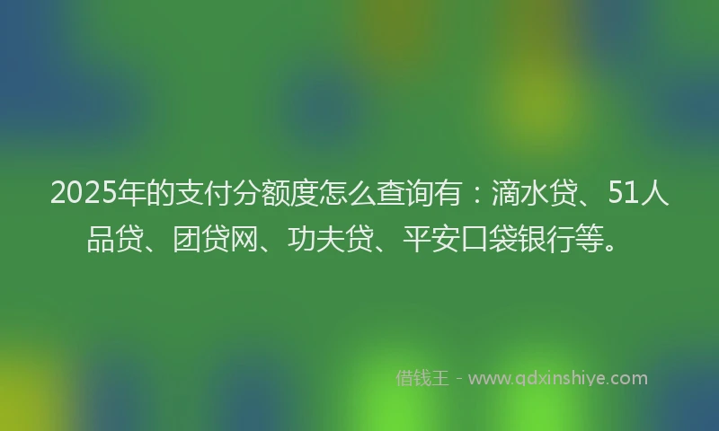 2025年的支付分额度怎么查询有：滴水贷、51人品贷、团贷网、功夫贷、平安口袋银行等。