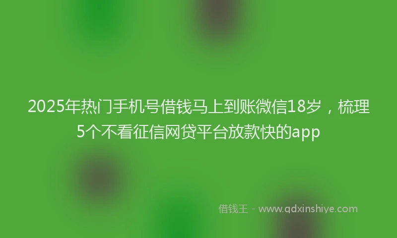 2025年热门手机号借钱马上到账微信18岁，梳理5个不看征信网贷平台放款快的app