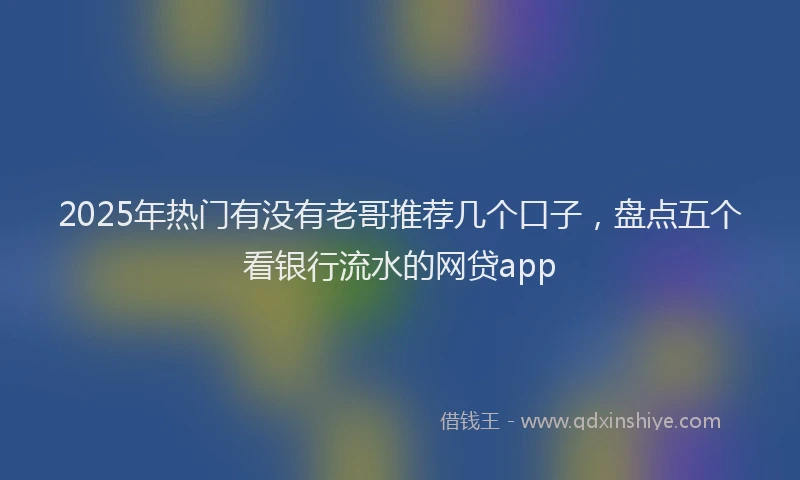 2025年热门有没有老哥推荐几个口子，盘点五个看银行流水的网贷app