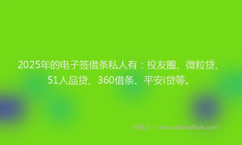 2025年的电子签借条私人有：投友圈、微粒贷、51人品贷、360借条、平安i贷等。
