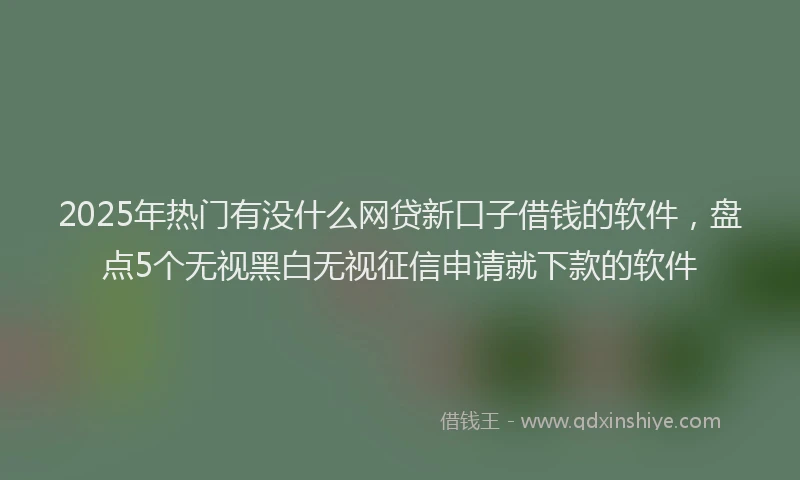 2025年热门有没什么网贷新口子借钱的软件，盘点5个无视黑白无视征信申请就下款的软件