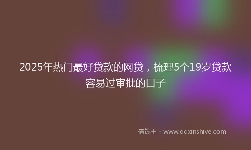 2025年热门最好贷款的网贷，梳理5个19岁贷款容易过审批的口子