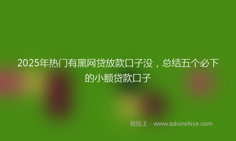 2025年热门有黑网贷放款口子没，总结五个必下的小额贷款口子