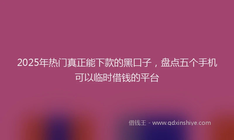 2025年热门真正能下款的黑口子，盘点五个手机可以临时借钱的平台