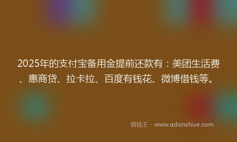 2025年的支付宝备用金提前还款有：美团生活费、惠商贷、拉卡拉、百度有钱花、微博借钱等。