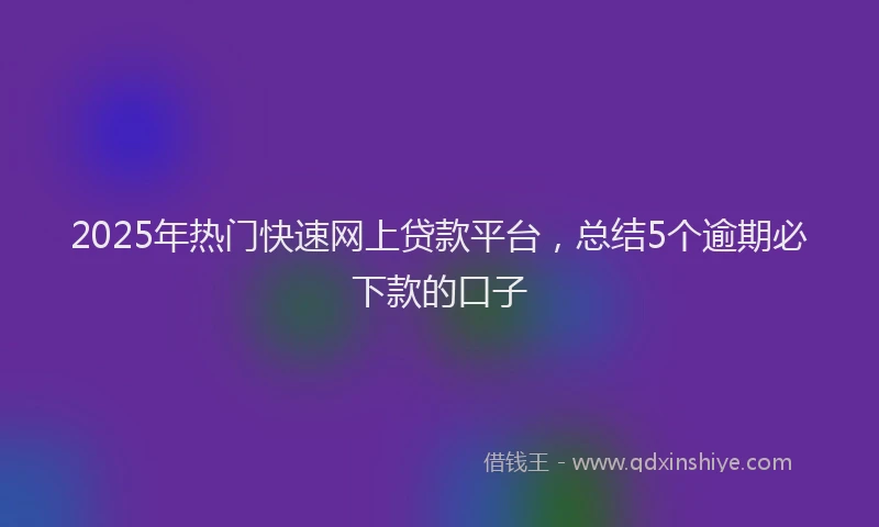 2025年热门快速网上贷款平台，总结5个逾期必下款的口子