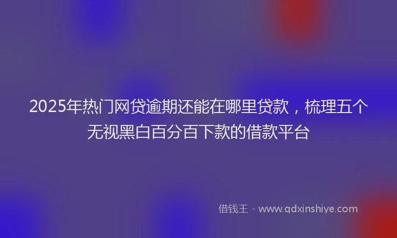 2025年热门网贷逾期还能在哪里贷款，梳理五个无视黑白百分百下款的借款平台