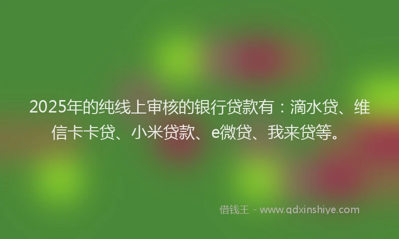 2025年的纯线上审核的银行贷款有：滴水贷、维信卡卡贷、小米贷款、e微贷、我来贷等。