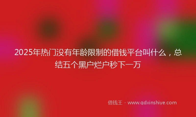 2025年热门没有年龄限制的借钱平台叫什么，总结五个黑户烂户秒下一万