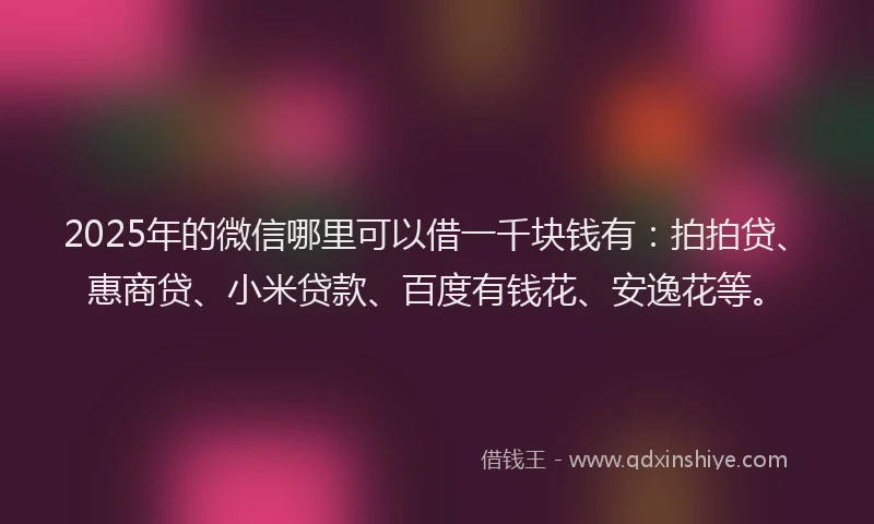 2025年的微信哪里可以借一千块钱有：拍拍贷、惠商贷、小米贷款、百度有钱花、安逸花等。