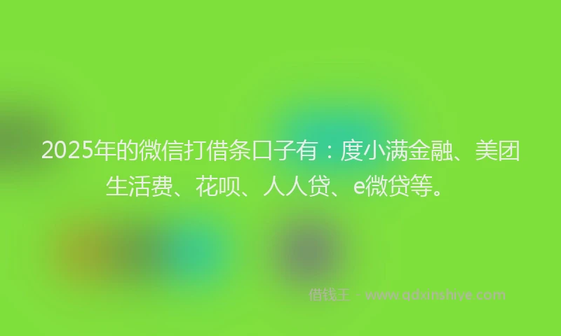 2025年的微信打借条口子有：度小满金融、美团生活费、花呗、人人贷、e微贷等。